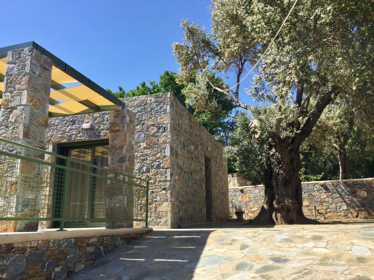 Ouzo Stone Plomari